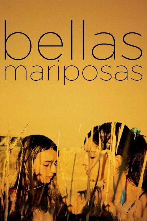 Póster de Bellas Mariposas
