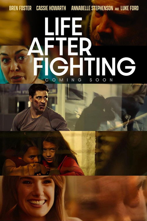 Póster de Life After Fighting