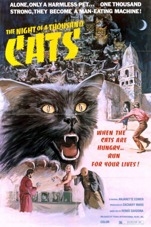 Póster de La noche de los mil gatos