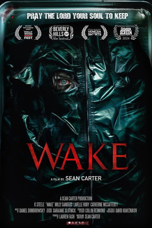 Póster de Wake