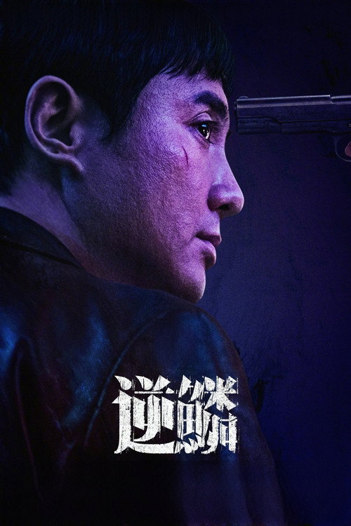 Póster de Untouchable