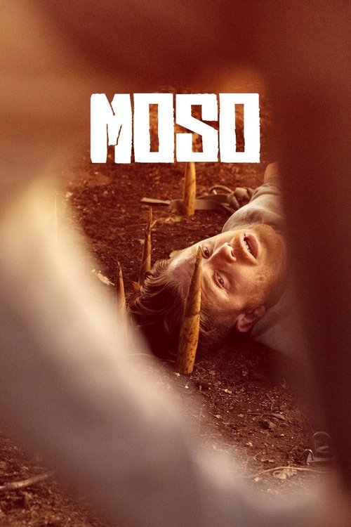 Póster de Bamboo Revenge