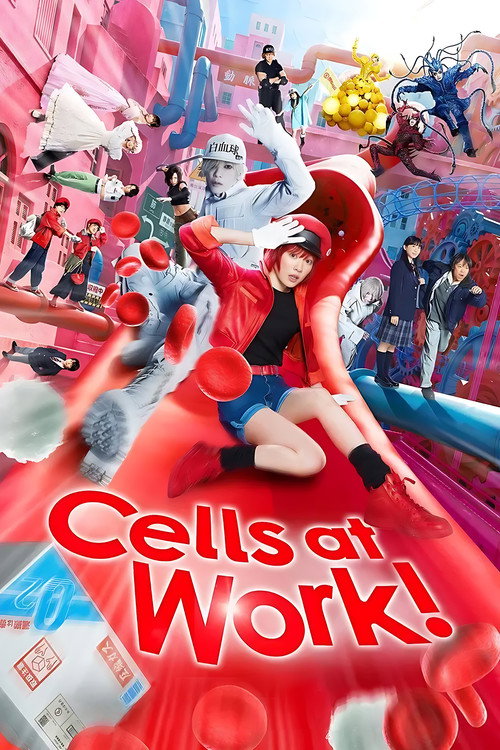 Locandina di Cells at Work! - Lavori in corpo