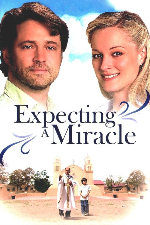Póster de Expecting a Miracle