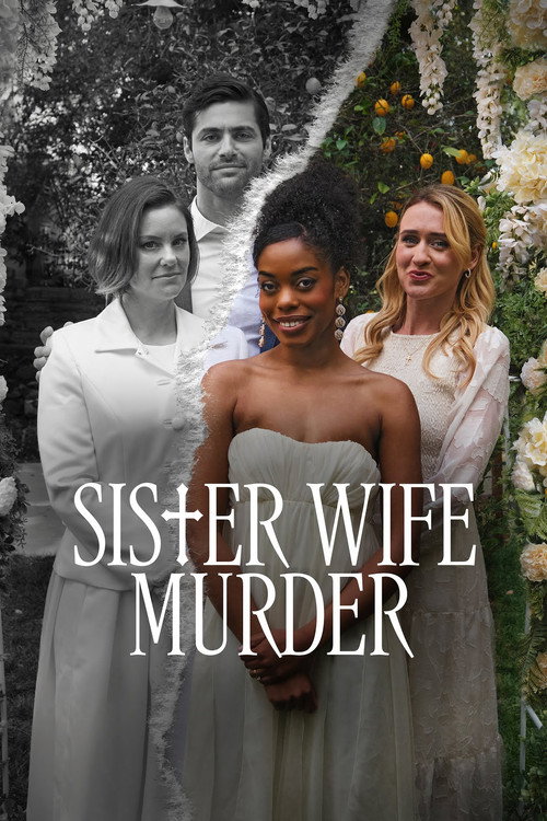 Póster de Sister Wife Murder