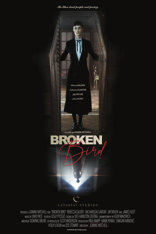 Póster de Broken Bird