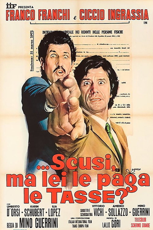 Locandina di ...Scusi, ma lei le paga le tasse?