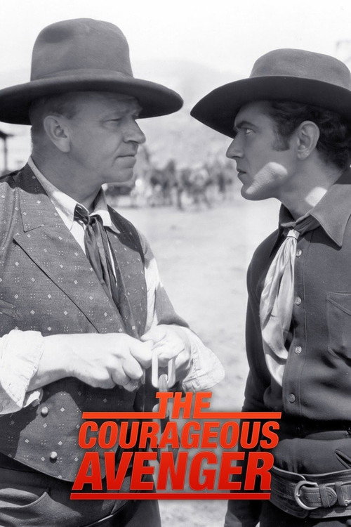 Póster de The Courageous Avenger