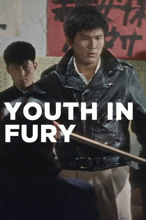 Póster de Youth in Fury