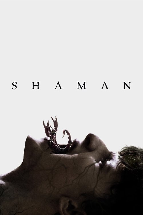 Póster de Shaman
