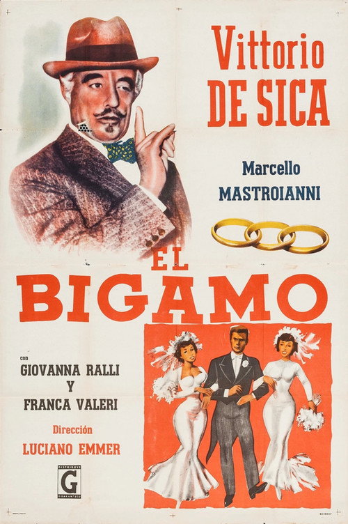Póster de The Bigamist
