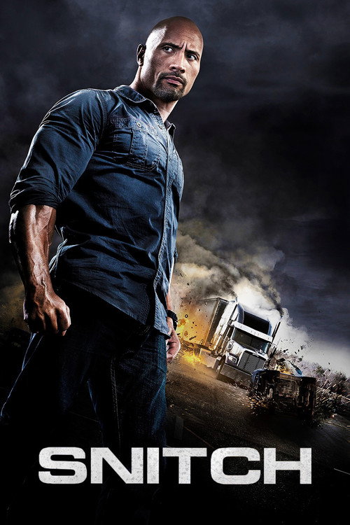 Póster de Snitch