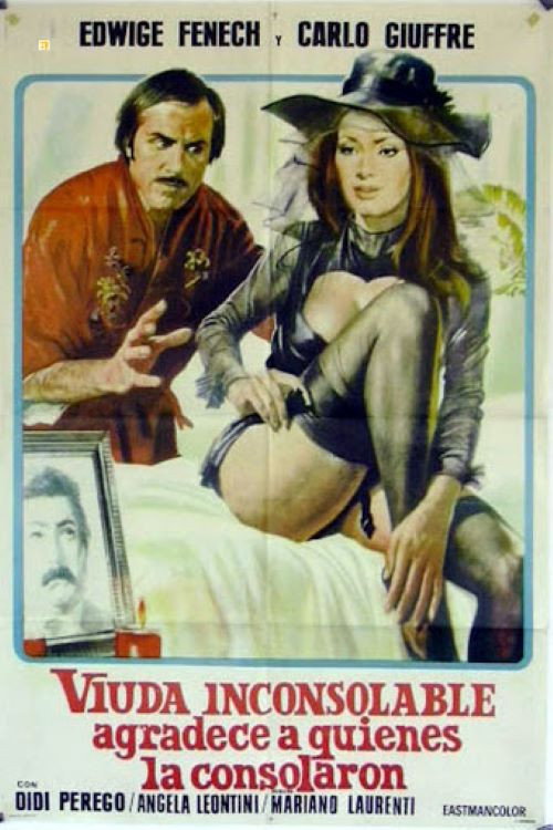 Póster de The Winsome Widow