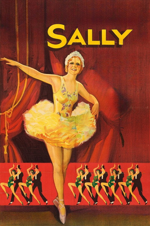 Póster de Sally