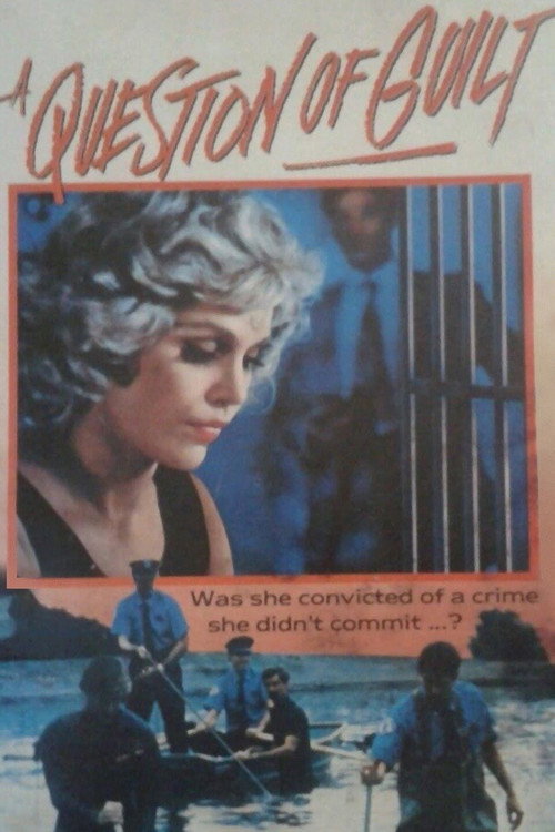 Póster de A Question of Guilt