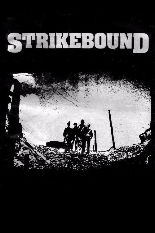 Locandina di Strikebound