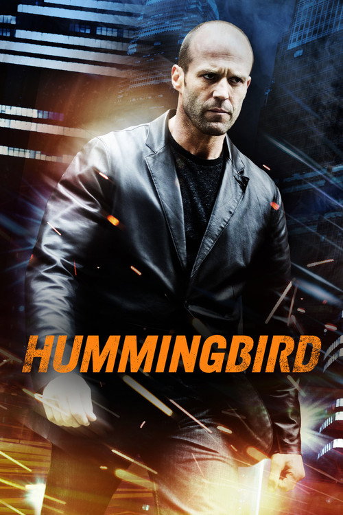 Póster de Hummingbird
