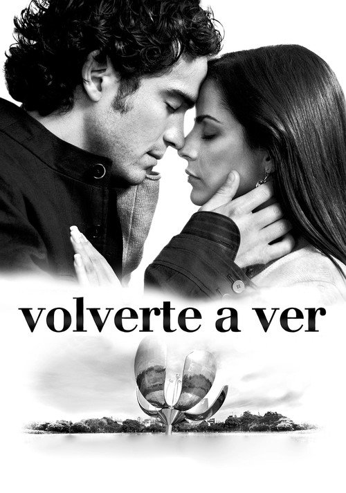 Póster de Volverte a ver