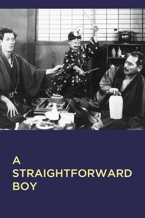 Póster de A Straightforward Boy