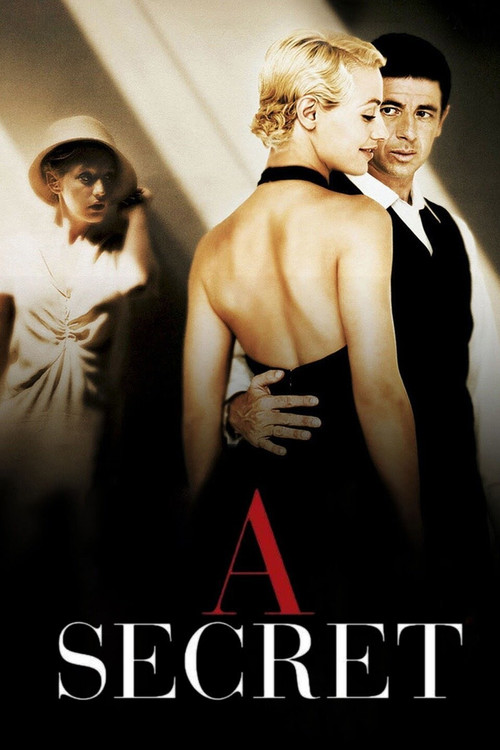 Póster de A Secret