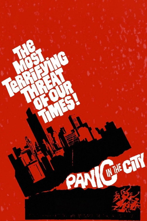 Póster de Panic in the City