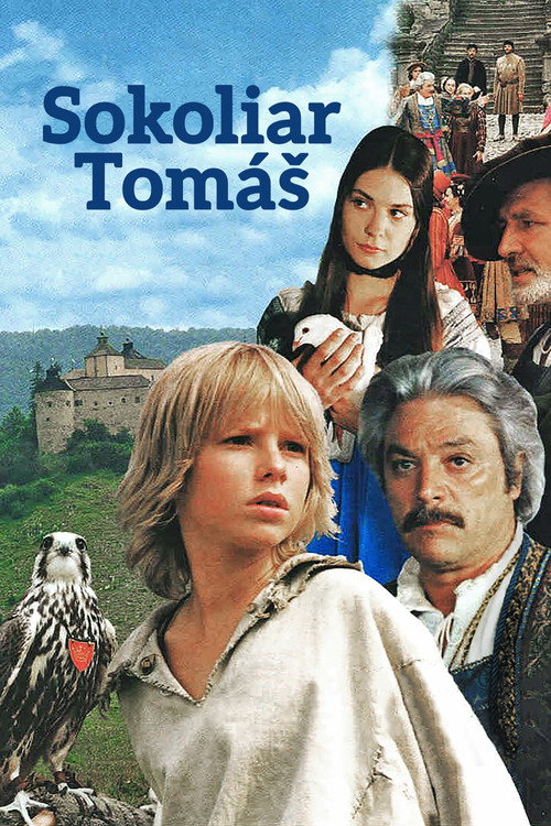 Póster de Tomáš and the Falcon King