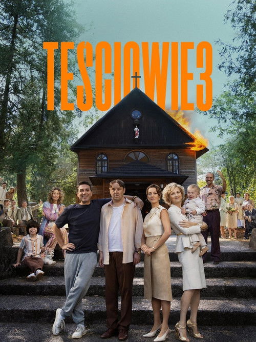 Póster de The In-Laws 3