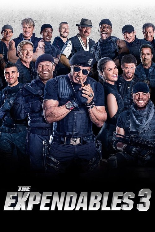 Póster de The Expendables 3