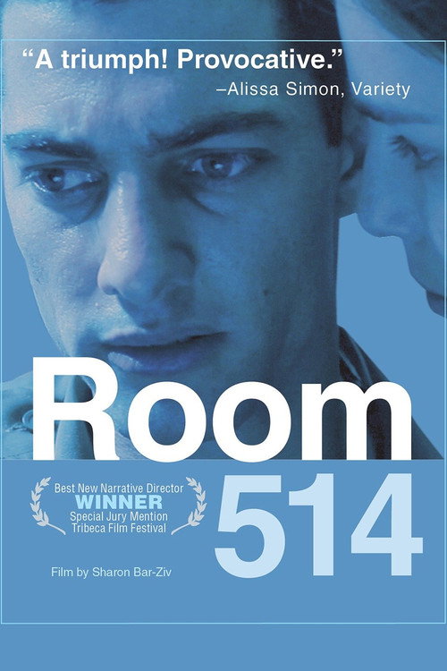 Póster de Room 514