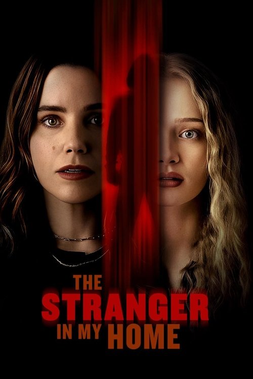 Póster de The Stranger in My Home
