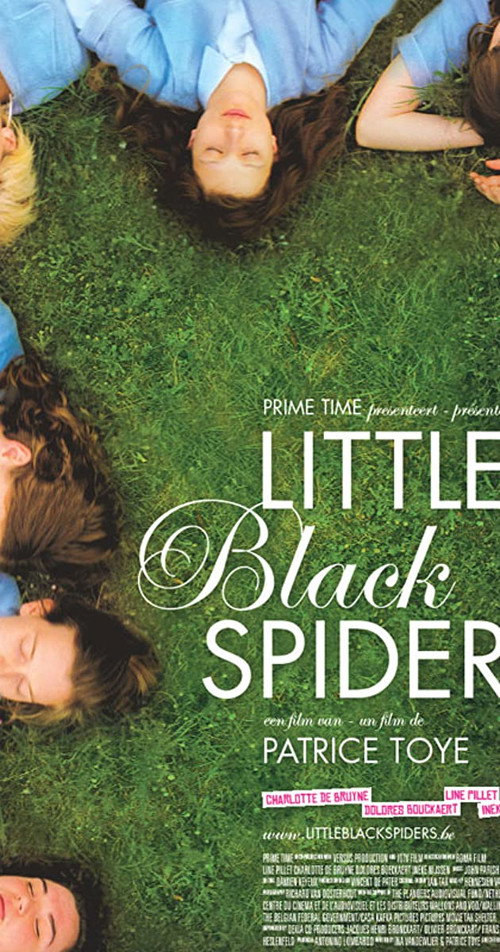 Locandina di Little Black Spiders