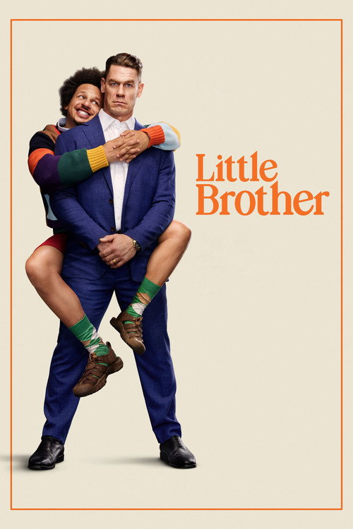 Póster de Little Brother