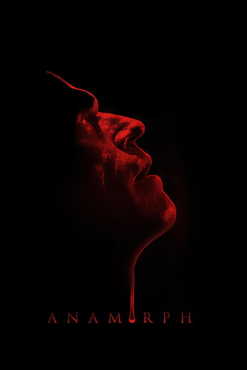 Póster de Anamorph