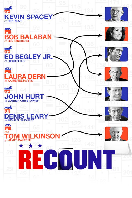 Póster de Recount