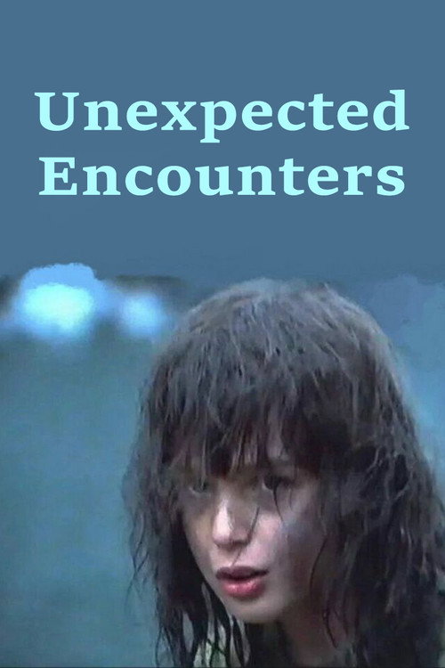 Póster de Unexpected Encounters