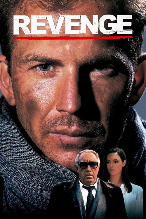 Póster de Revenge