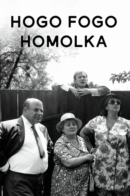 Poster von Hogo Fogo Homolka