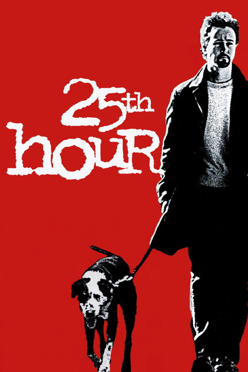 Póster de 25th Hour
