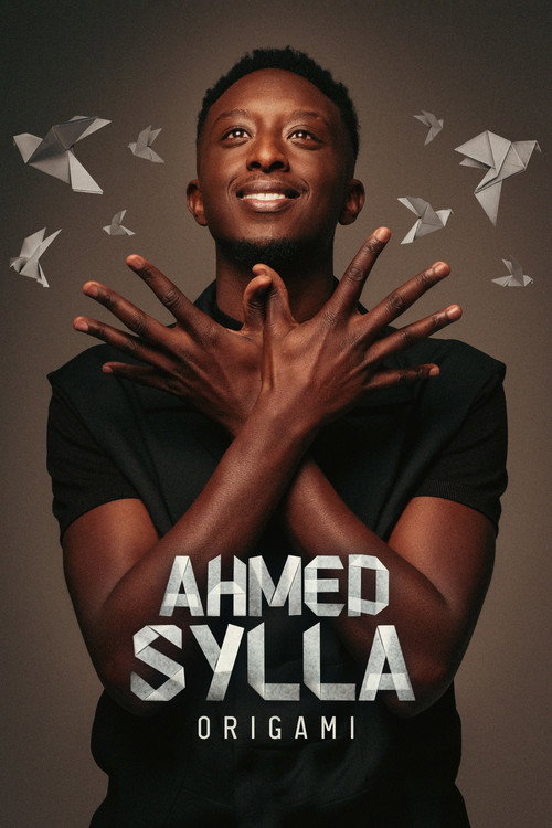 Póster de Ahmed Sylla - Origami