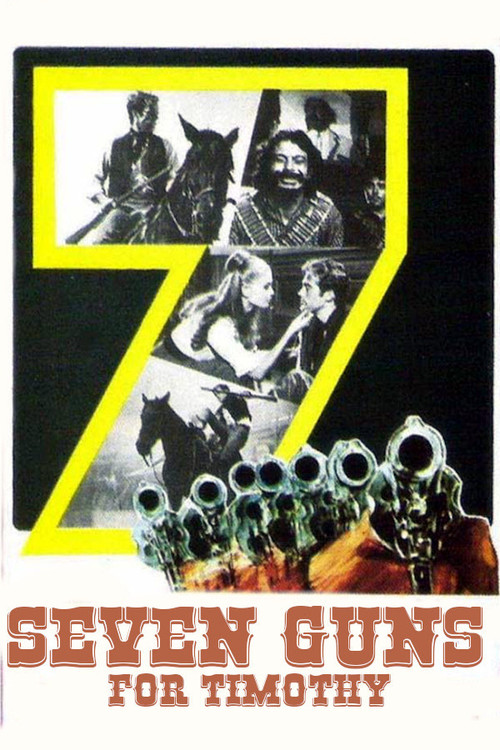 Póster de Seven Guns for Timothy