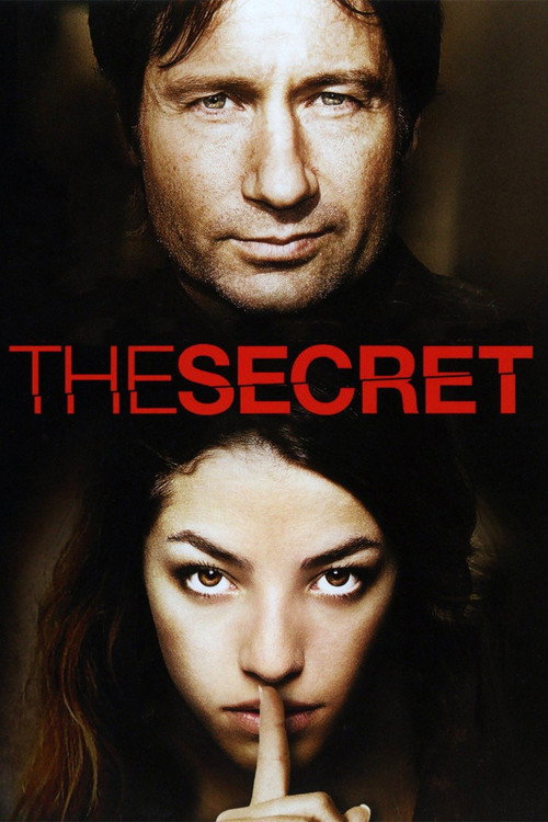 Póster de The Secret