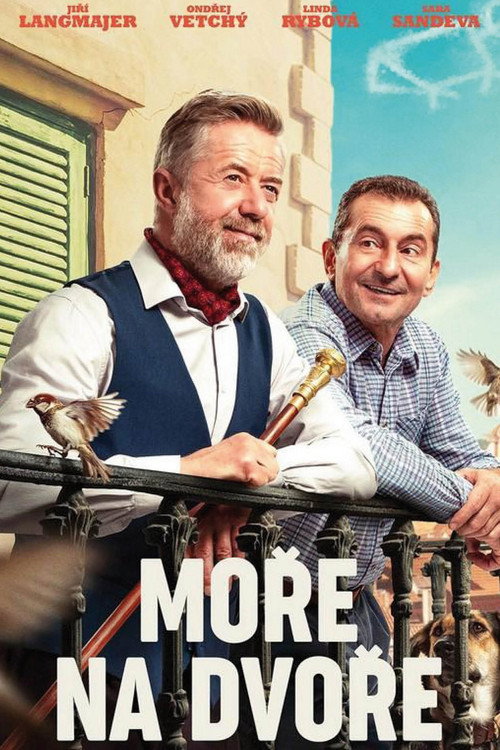 Póster de Sea of Hope