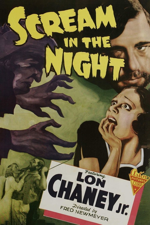 Póster de A Scream in the Night