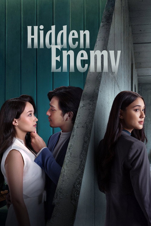 Póster de Hidden Enemy