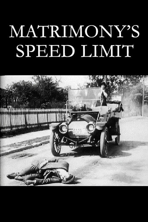 Poster von Matrimony's Speed Limit