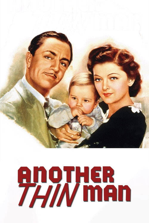 Póster de Another Thin Man