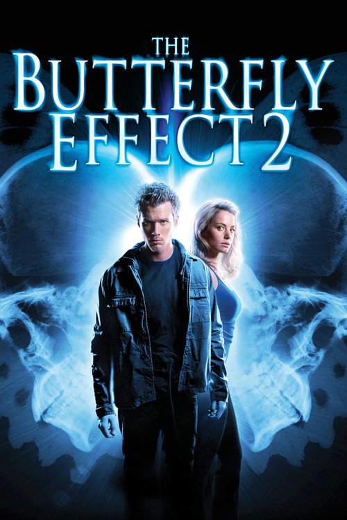 Póster de The Butterfly Effect 2