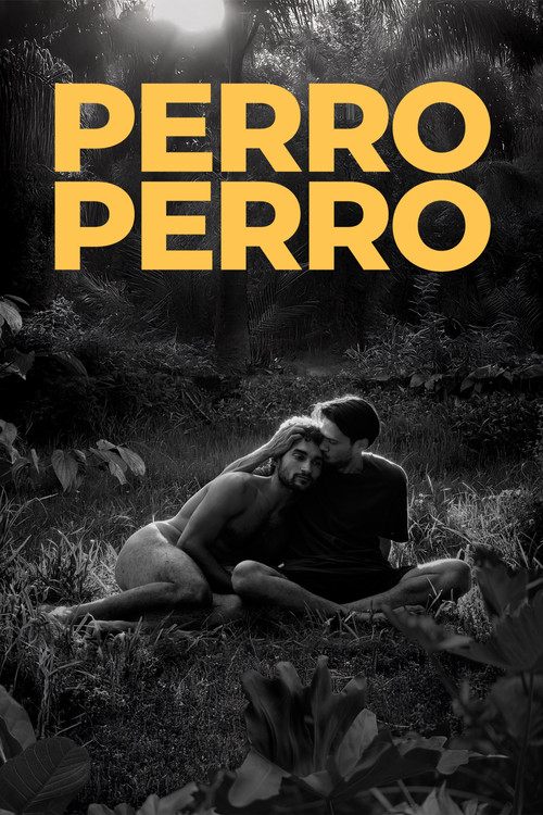 Póster de Perro Perro