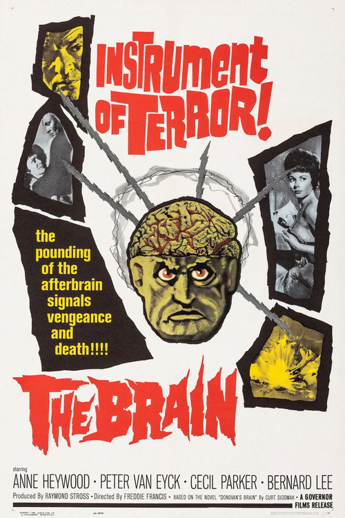 Poster of The Brain