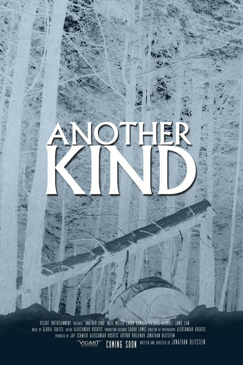 Póster de Another Kind